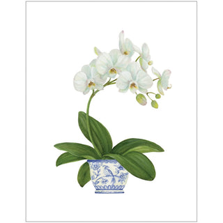 Caspari White Orchid Enclosure Cards & Envelopes - 4 Mini Cards & 4 Envelopes 10089ENC