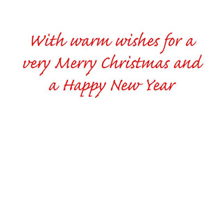 Caspari Christmas Birdhouse Boxed Christmas Cards - 16 Christmas Cards & 16 Envelopes 103227