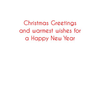 Caspari Santa With Stack Of Gifts B-Size Boxed Christmas Cards - 15 Cards And Envelopes 104102