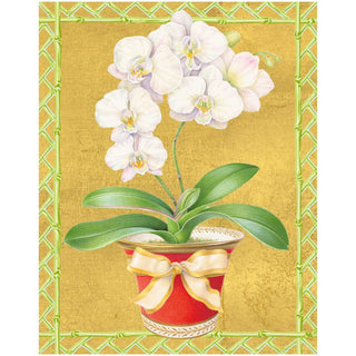 Caspari WHITE ORCHID IN RED POT CHRISTMAS CARD BOX A SIZE 15 IN 105005
