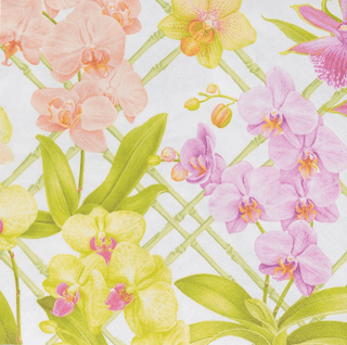 Caspari Orchid Conservatory Dinner Napkins - 20 Per Package 18370D