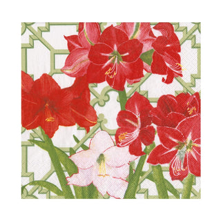 Caspari Amaryllis Conservatory Luncheon Napkins - includes 20 Luncheon Napkins 18690L