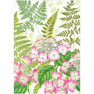 Caspari Fern Garden Boxed Note Cards - 8 Cards and 8 Envelopes per Package 94603.46