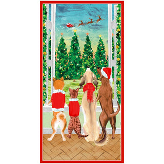 Caspari Pets At The Window Greeting Cards - includes 4 Greeting Cards 95702