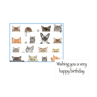 Caspari Birthday Party Animals - Set Of Six Greeting Cards And Envelopes BDAYPARTYANIMAL