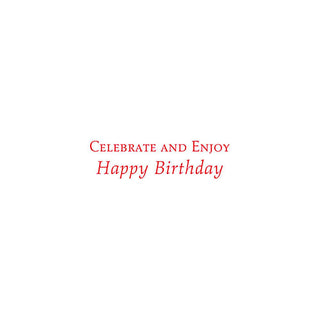 Caspari Birthday For Him Set Of Six Greeting Cards And Envelopes BIRTHDAY-HIM