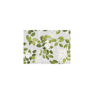 Caspari Botanical Blank Set Of Six Greeting Cards And Envelopes BLANKBOTANICAL