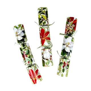 Caspari Christmas Garden Christmas Cracker, 12 Inch - 6 per box CK176.12