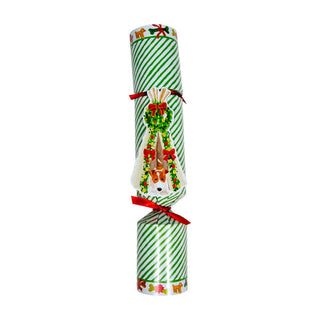 Caspari Dog Christmas Teepee Pet Favor - Single Item/13 Inch CK179.PF