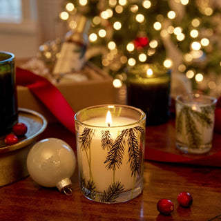 Thymes Frasier Fir Pine Needle Candle - 6.5oz