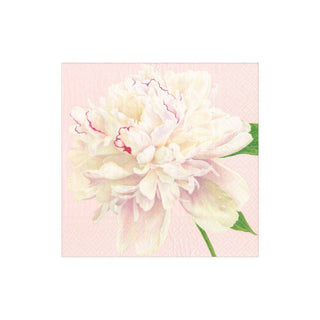 Caspari Duchess Peonies Paper Cocktail Napkins in Blush - 20 Per Package 16890C