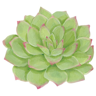 Caspari Succulents Die-Cut Placemat - 4 Per Package 3051PMSX4