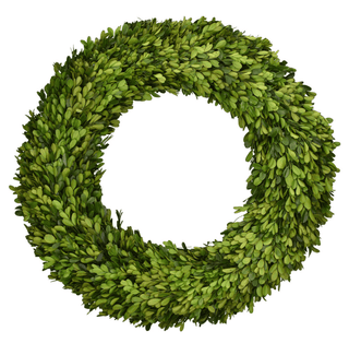Mills Floral Preserved Boxwood Country Manor Wreath- 20" Round 664118023995