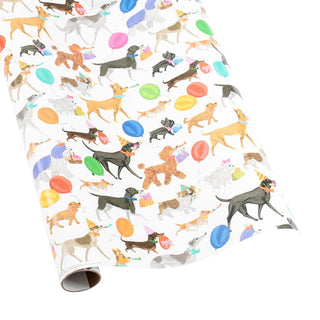 Caspari Winston and Friends Gift Wrapping Paper - 30" x 8' Roll 8987RC