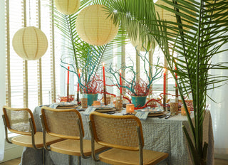 Shell Toile