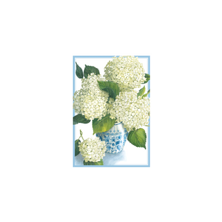 Greeting Card Assortment