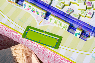 Mahjong In The Garden Palms & Parasols