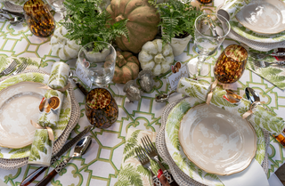 Turkey Among Ferns