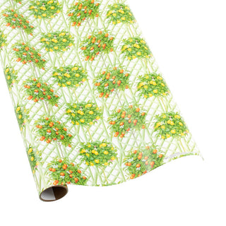 Caspari Citrus Topiaries White Roll Wrap 30 Inch X 8Ft-2 Inch Core 10025RC