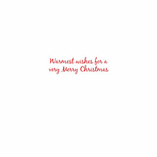 Caspari Cat And Dog At Window Petite Boxed Christmas Cards - includes 15 cards & envelopes 101007