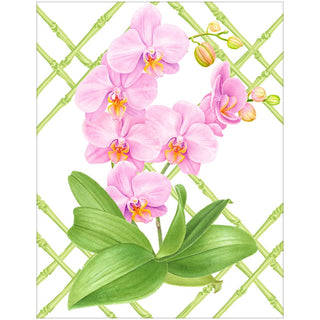 Caspari Orchid Conservatory Gift Enclosure Cards - includes 4 cards & envelopes 10126ENC