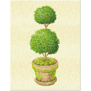 Caspari Topiary Gift Enclosure Cards - includes 4 cards & envelopes 10172ENC
