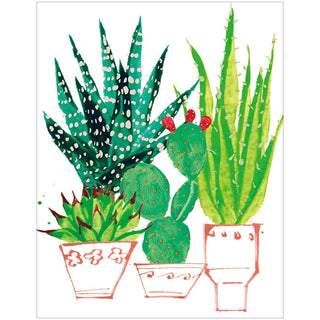 Caspari Succulents Gift Enclosure Cards - includes 4 cards & envelopes 10173ENC