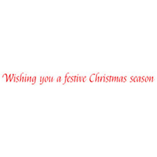 Caspari Christmas Tiger Small Boxed Christmas Cards - includes 15 cards & envelopes 102111