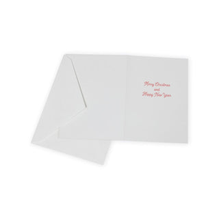 Caspari Coastal Berry Wreath Boxed Christmas Cards - 16 Cards & 16 Envelopes 102112