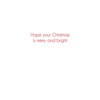Caspari Christmas Flamingo Classic Boxed Christmas Cards - includes 15 cards & envelopes 102232