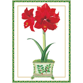 Caspari Amaryllis In Holly Pot Small Boxed Christmas Cards - 16 Christmas Cards & 16 Envelopes 103104