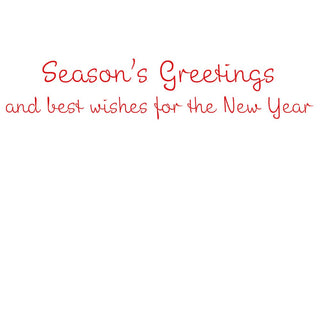 Personalization by Caspari Season's Greetings Of Greenery Personalized Christmas Cards 103208PG
