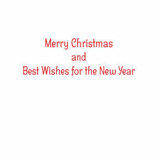 Caspari Santa With Botanical Border A-Size Boxed Christmas Cards - 15 Cards And Envelopes 104011