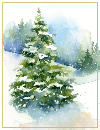 Caspari Evergreens In Snowy Field Large Boxed Christmas Cards - includes 15 cards & envelopes 104302