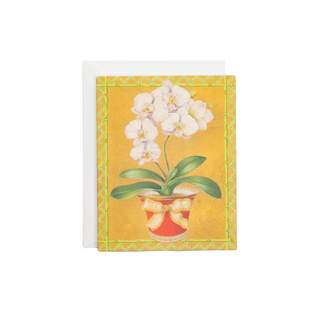 White Orchid In Red Pot Petite Boxed Christmas Cards - includes 15 cards & envelopes