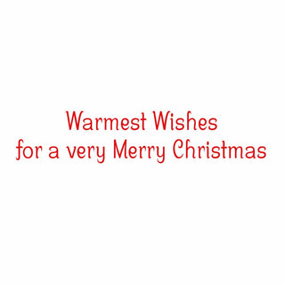 Caspari Snow Fun Classic Boxed Christmas Cards - includes 15 cards & envelopes 105211