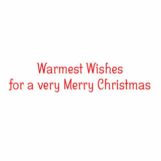 Caspari Snow Fun Classic Boxed Christmas Cards - includes 15 cards & envelopes 105211