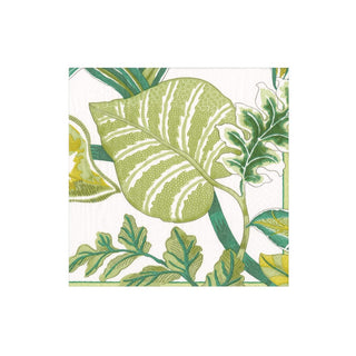Caspari Florida-Ivory Napkin Cocktail 11252C