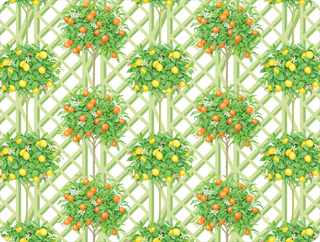 Caspari Citrus Topiaries White Paper Placemats Rectangle 12-In 1200PPREC