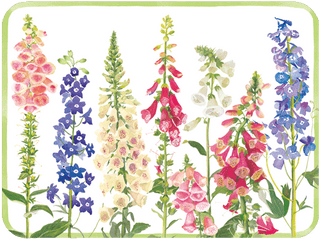 Caspari Foxgloves Paper Placemats Rectangle 12-In 1201PPREC
