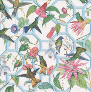 Caspari Hummingbird Trellis  Napkin Box Cocktail - 40 per box 15110B