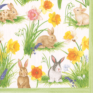 Caspari Bunnies And Daffodils Napkin Cocktail 16870C
