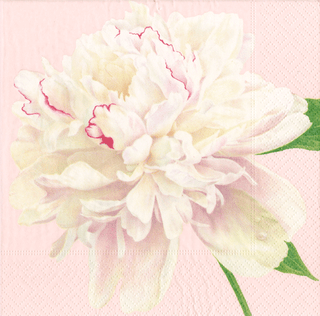 Caspari Duchess Peonies Blush Napkin Cocktail 16890C