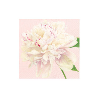 Caspari Duchess Peonies Blush Napkin Cocktail 16890C