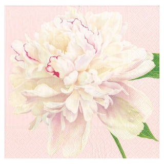 Caspari Duchess Peonies Blush Napkin Dinner 16890D