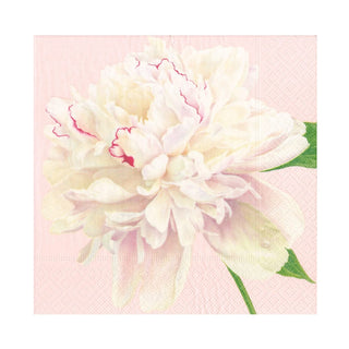 Caspari Duchess Peonies Blush Napkin Luncheon 16890L
