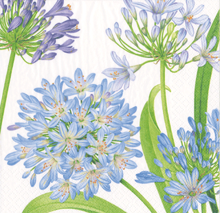 Caspari Agapanthus Garden Napkin Cocktail 16920C