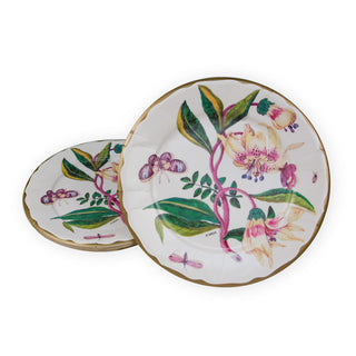Porcelain Blooms Ivory Dinner Plates