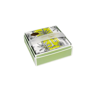 Southern Palms Green & White Boxed Cocktail Napkins - 40 Per Box