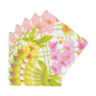 Caspari Orchid Conservatory Napkin Cocktail 18370C